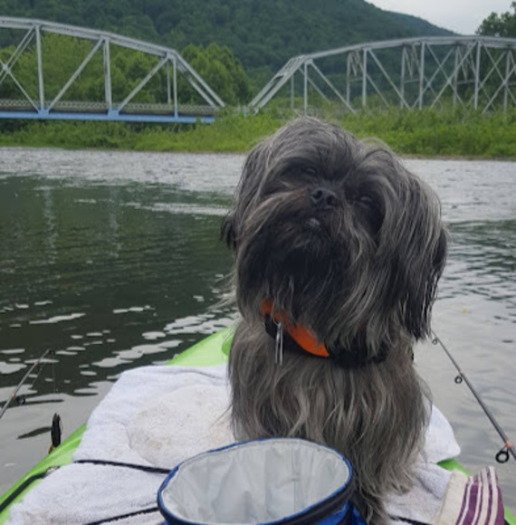 Meet your Posher, Dave - Picture 1 of 1